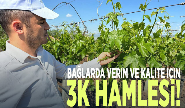Bağlarda verim ve kalite için 3K hamlesi!