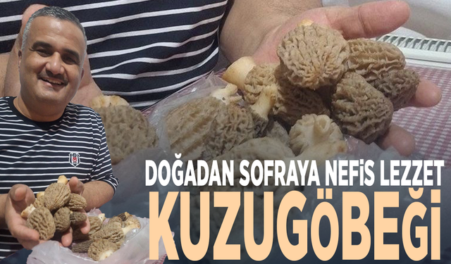 Doğadan sofraya nefis lezzet: Kuzugöbeği