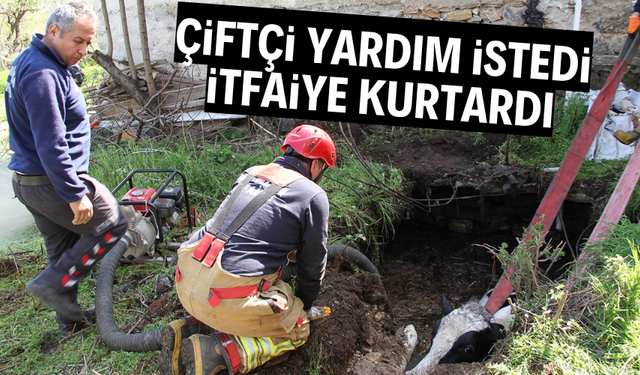 Çiftçi yardım istedi, itfaiye kurtardı