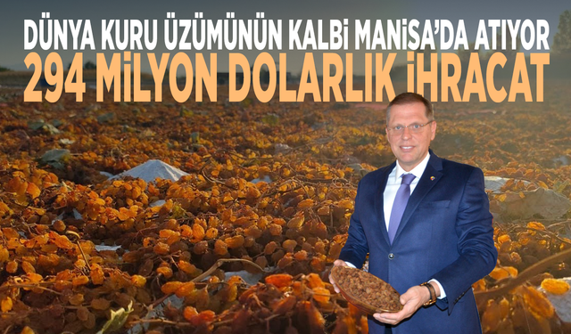 Dünya kuru üzümünün kalbi Manisa’da atıyor...  294 milyon dolarlık ihracat