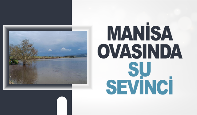 Manisa ovasında su sevinci