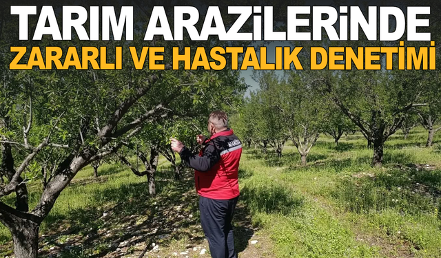 Tarım Arazilerinde son durum ne?