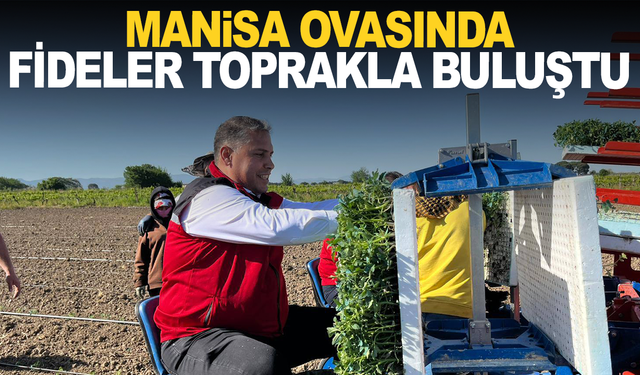 Manisa’da Domates Fideleri Toprakla Buluştu