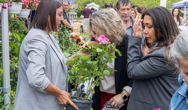 İzmir çiçek açtı, her yer rengarenk oldu