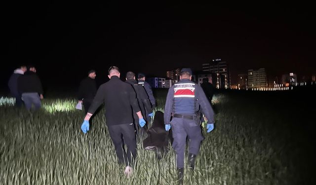 Ege'de korkunç olay!  Tarım arazisinde erkek cesedi bulundu