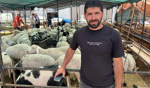 İzmir kurban pazarlarında sosyal medya rüzgarı