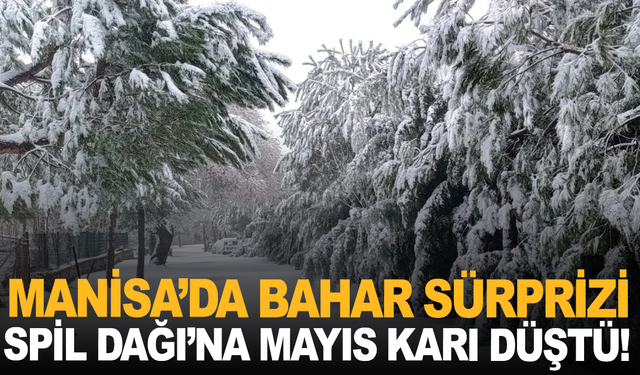 Manisa’da Bahar Sürprizi: Spil Dağı’na Mayıs Karı Düştü!