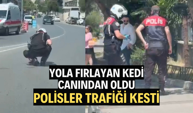 Otomobilin çarpıp kaçtığı kediyi yol kenarına alan polisler takdir topladı