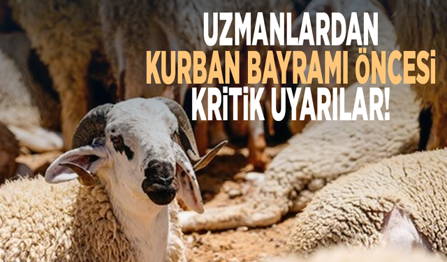 Uzmanlardan Kurban Bayramı öncesi kritik uyarılar!