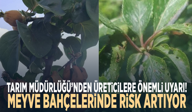 Tarım Müdürlüğü’nden üreticilere önemli uyarı! Meyve bahçelerinde risk artıyor