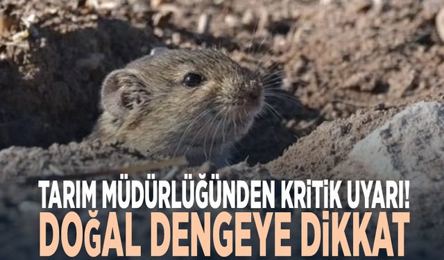 Tarım Müdürlüğünden kritik uyarı! Doğal dengeye dikkat