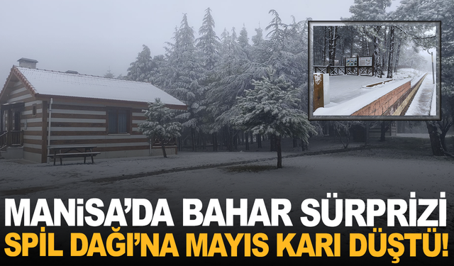 Manisa’da Bahar Sürprizi: Spil Dağı’na Mayıs Karı Düştü!