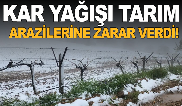 Yüksek kesimlerde ani hava değişimi üreticiyi zorladı