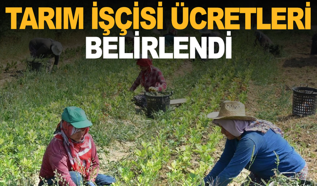 Tarım İşçisi Ücretleri Belirlendi