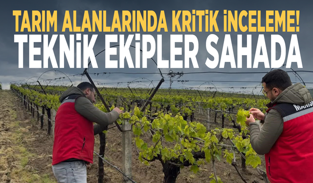 Tarım alanlarında kritik inceleme! Teknik ekipler sahada