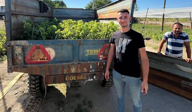 İki kardeşten üzüm üretimine milyonluk katkı