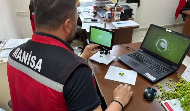 Manisa'da 102 istasyondan gelen verilerle üreticiye erken uyarı