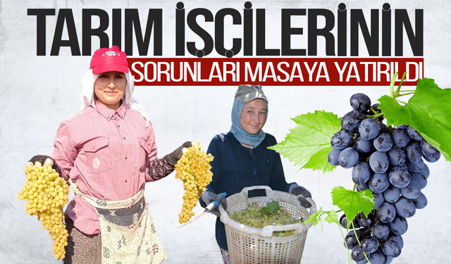 Manisa'da mevsimlik işçilerin sorunları gündemde