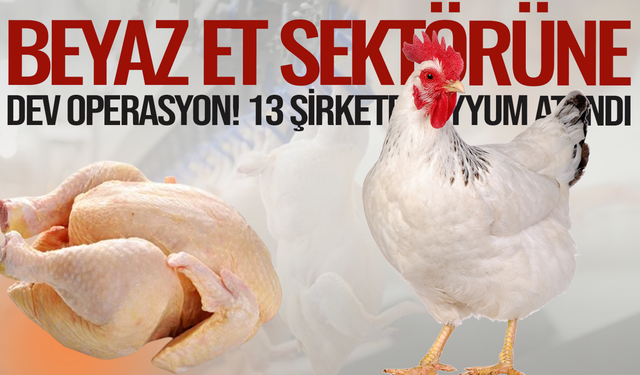 Beyaz et sektörüne dev operasyon!13 şirkete kayyum atandı