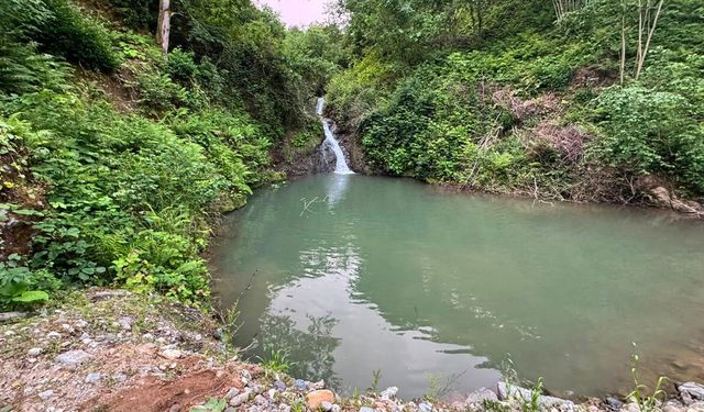 İmam ve müezzin girdikleri gölette boğuldu