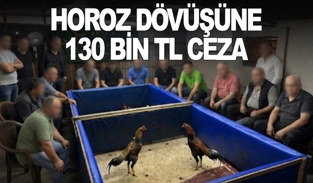 Horoz dövüştürülen çiftlik mühürlendi, hayvanlar korumaya alındı
