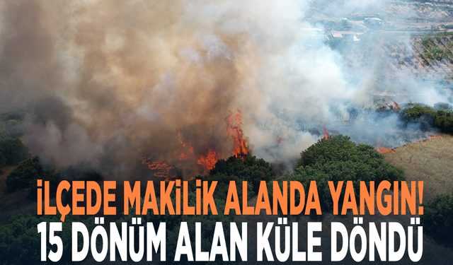 İlçede makilik alanda yangın! 15 dönüm alan küle döndü