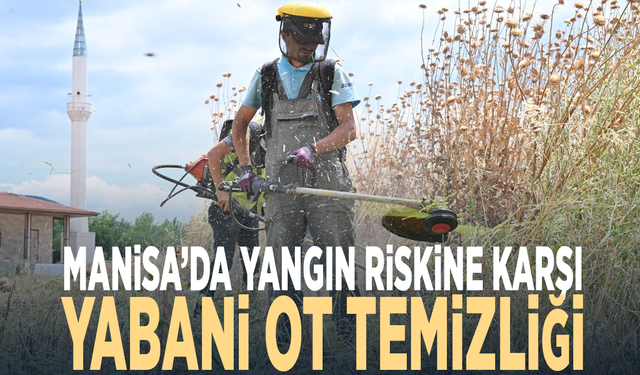 Manisa’da yangın riskine karşı yabani ot temizliği
