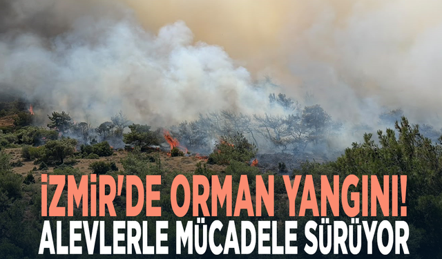 İzmir'de orman yangını!  Alevlerle mücadele sürüyor
