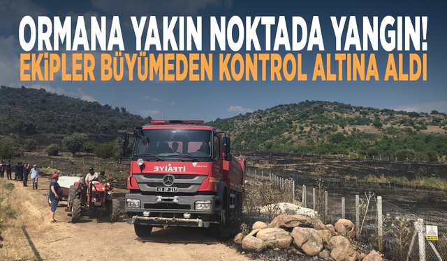 Ormana yakın noktada yangın! Ekipler büyümeden kontrol altına aldı
