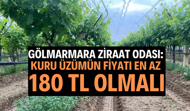 Gölmarmara Ziraat Odası: Kuru Üzümün Fiyatı En Az 180 TL Olmalı