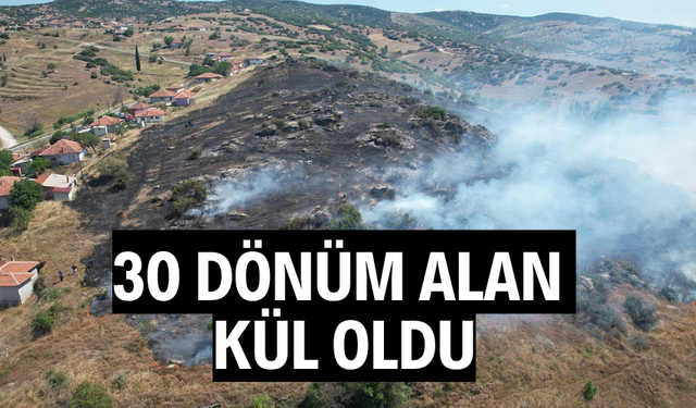 30 dönüm alan kül oldu
