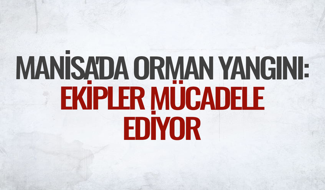 Manisa'da orman yangını: Ekipler mücadele ediyor