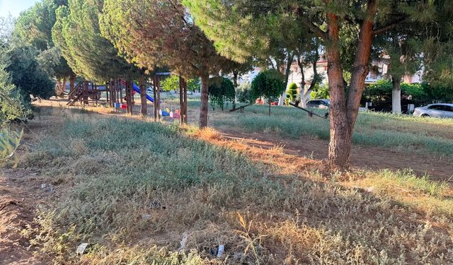 Sarıgöl'ün yeşil dönüşümü başladı