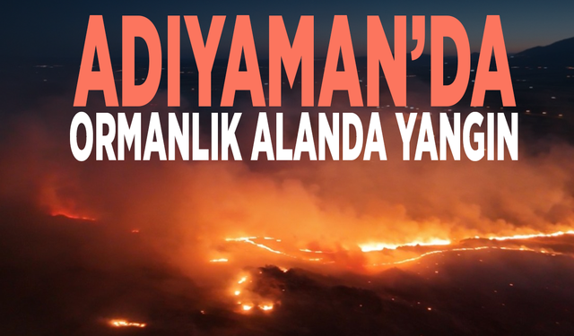 Adıyaman’da ormanlık alanda yangın