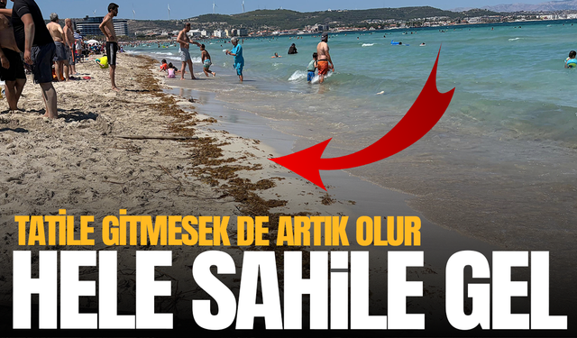 Manisalı Tatilciler Çeşme'den Şikayetçi!