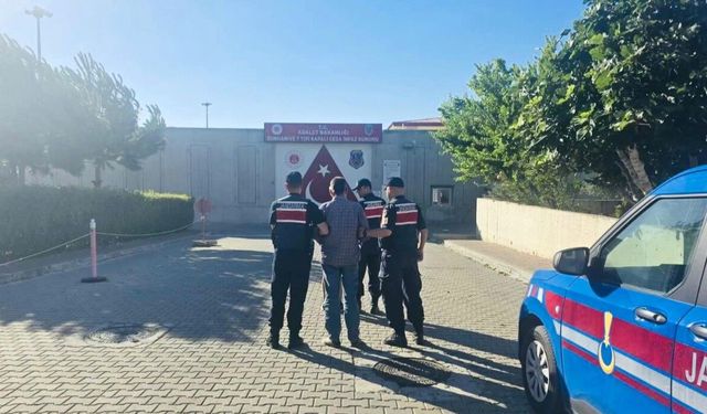 Gömeç yangınına ilişkin 2 tutuklama