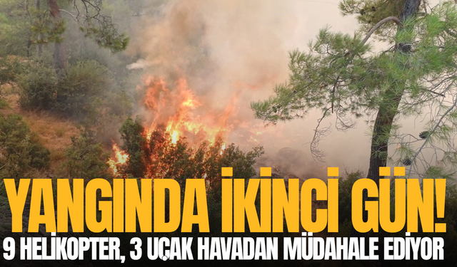 Yangın ikinci günde devam ediyor
