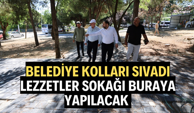 Belediye kolları sıvadı. Lezzetler sokağı buraya yapılacak