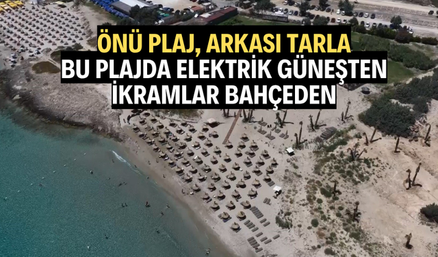 Önü plaj, arkası tarla: Bu plajda elektrik güneşten, ikramlar bahçeden