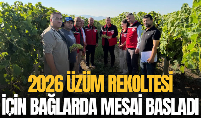 2026 üzüm rekoltesi için bağlarda mesai başladı