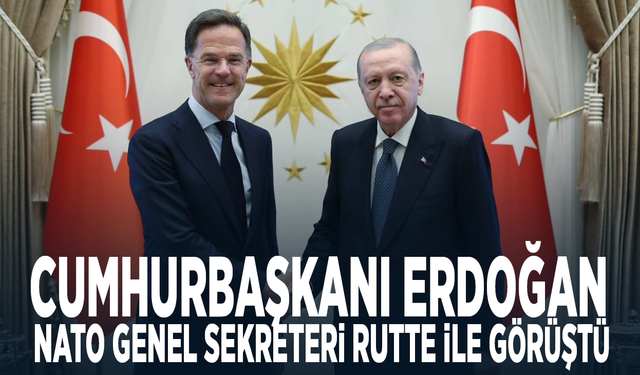 Cumhurbaşkanı Erdoğan, NATO Genel Sekreteri Rutte ile görüştü