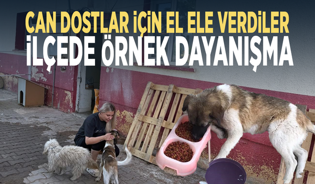 Can dostlar için el ele verdiler... İlçede örnek dayanışma