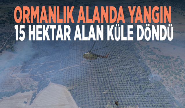 Ormanlık alanda yangın: 15 hektar alan küle döndü