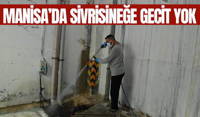 Manisa’da sivrisineğe geçit yok