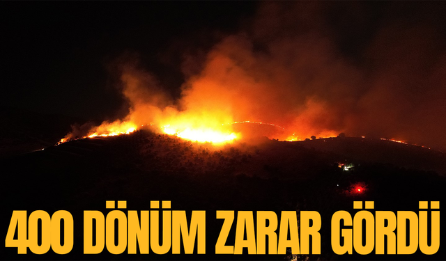 Manisa'da çıkan yangında 400 dönümlük arazi zarar gördü