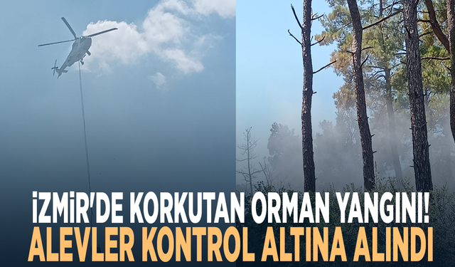 İzmir'de korkutan orman yangını! Alevler kontrol altına alındı