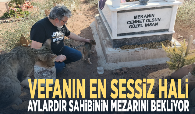 Vefanın en sessiz hali...  Aylardır sahibinin mezarını bekliyor