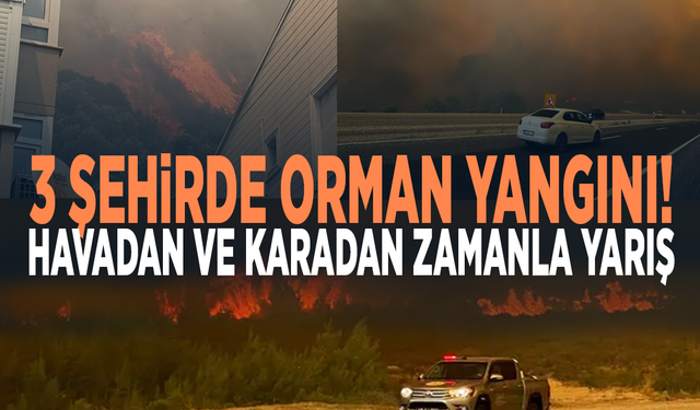 3 şehirde orman yangını! Havadan ve karadan zamanla yarış