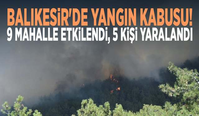 Balıkesir'de yangın kabusu! 9 mahalle etkilendi, 5 kişi yaralandı