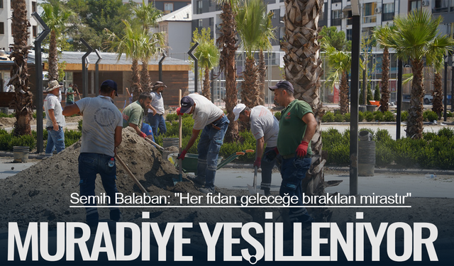 Yunusemre Belediyesi Muradiye'yi yeşillendiriyor